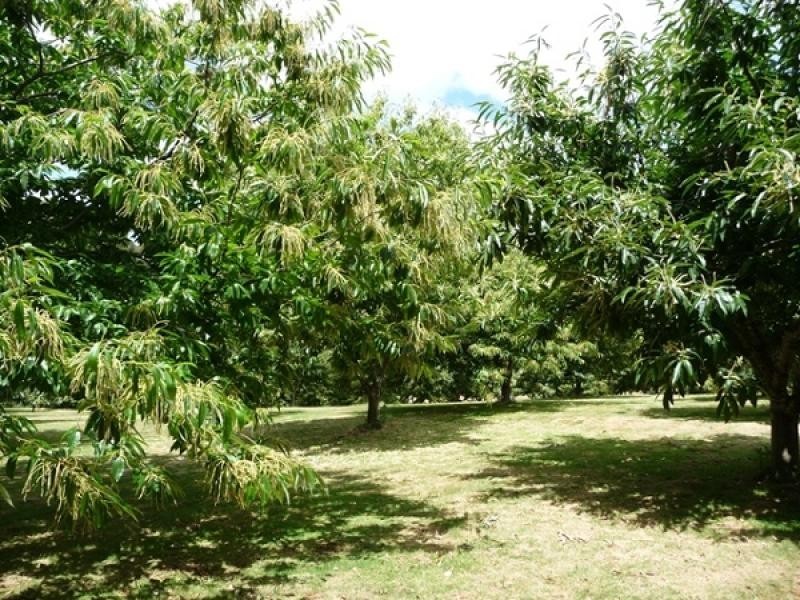 2045 Preolenna Road, Preolenna TAS 7325