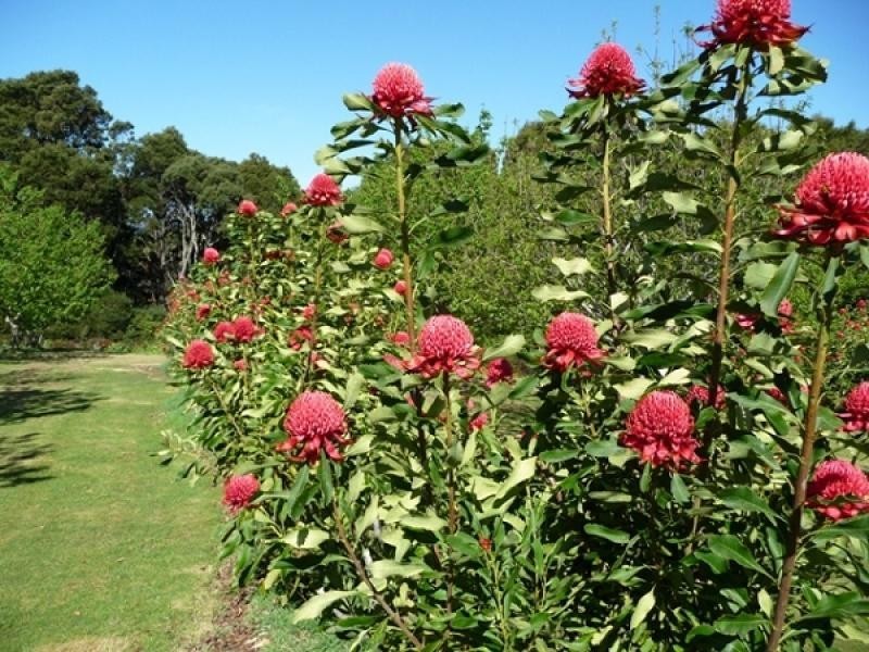 2045 Preolenna Road, Preolenna TAS 7325