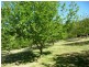 2045 Preolenna Road, Preolenna TAS 7325
