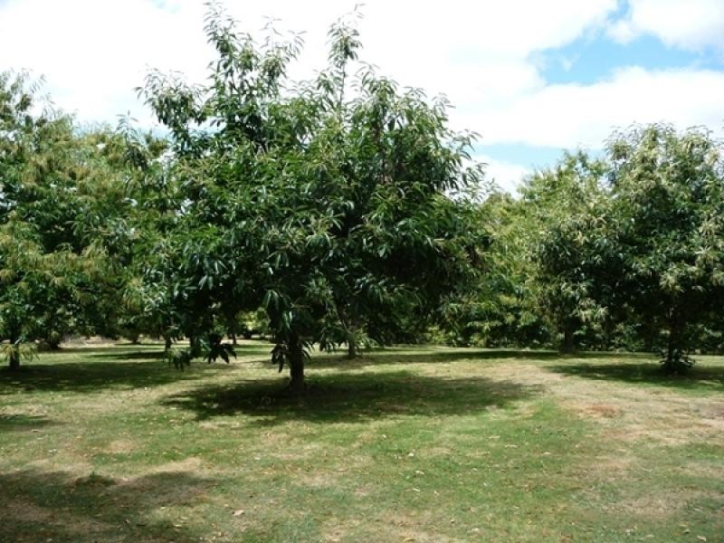 2045 Preolenna Road, Preolenna TAS 7325