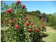 2045 Preolenna Road, Preolenna TAS 7325