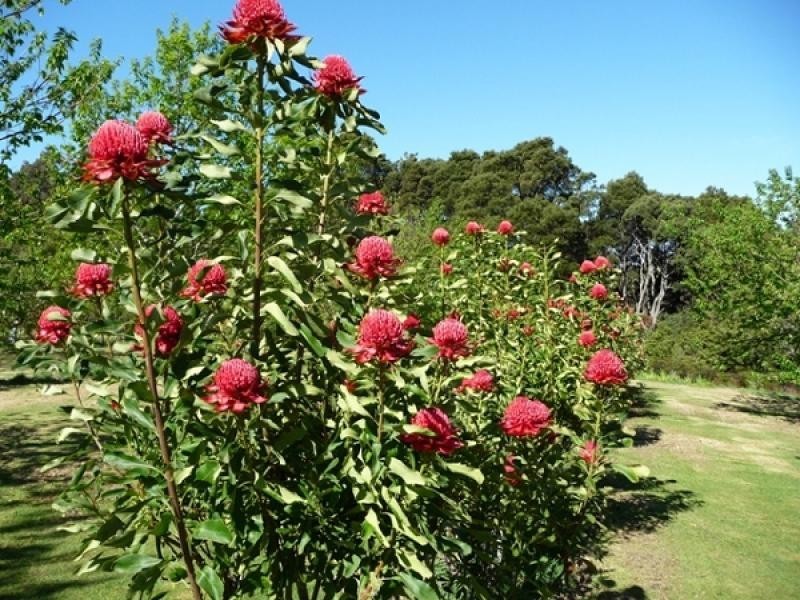 2045 Preolenna Road, Preolenna TAS 7325