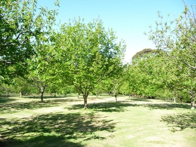 2045 Preolenna Road, Preolenna TAS 7325
