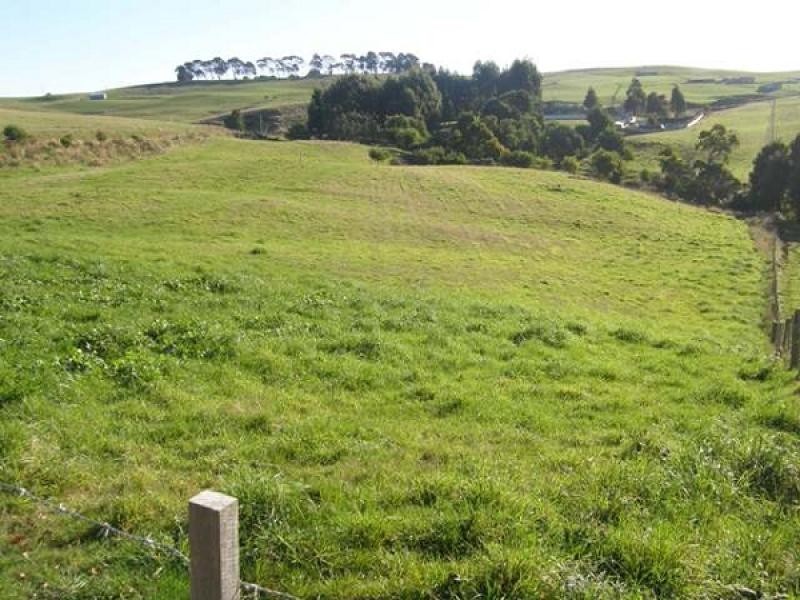 131 Camena Road, Natone TAS 7321