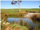 249 Camena Road, Natone TAS 7321