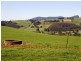 249 Camena Road, Natone TAS 7321