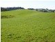 249 Camena Road, Natone TAS 7321
