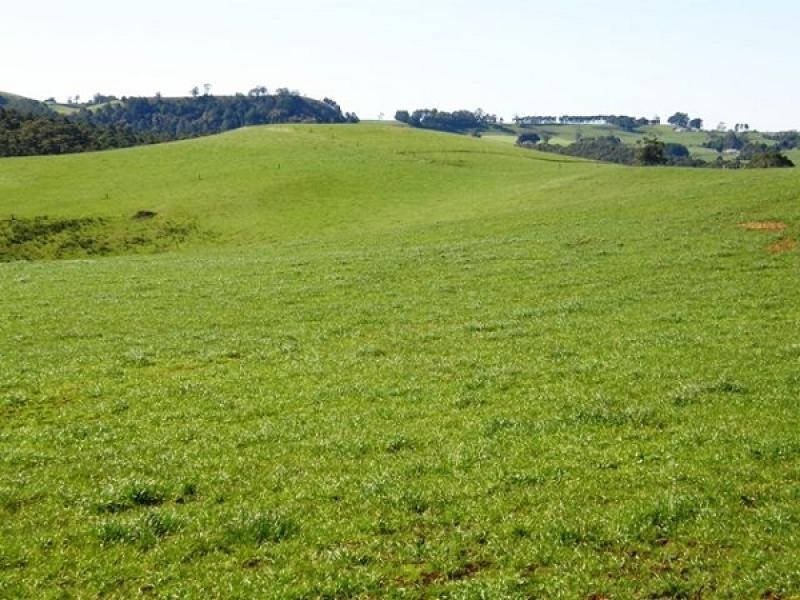 249 Camena Road, Natone TAS 7321