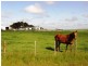 474 Mount Hicks Road, Wynyard TAS 7325