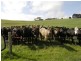 474 Mount Hicks Road, Wynyard TAS 7325