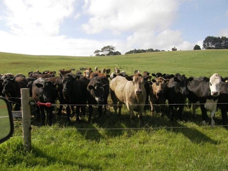 474 Mount Hicks Road, Wynyard TAS 7325