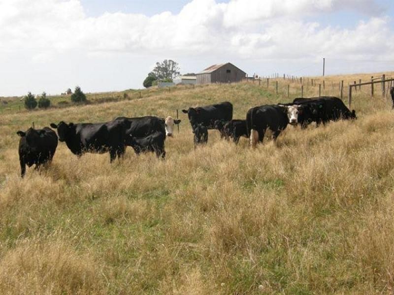 1384 Ridgley Highway, Highclere TAS 7321