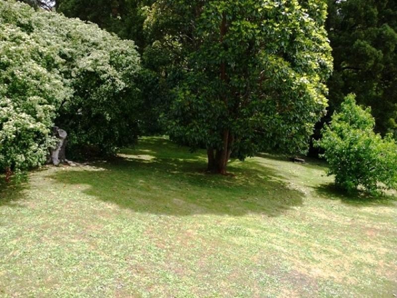 6 Duke Street, Burnie TAS 7320