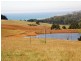60 Dallas Road, Somerset TAS 7322