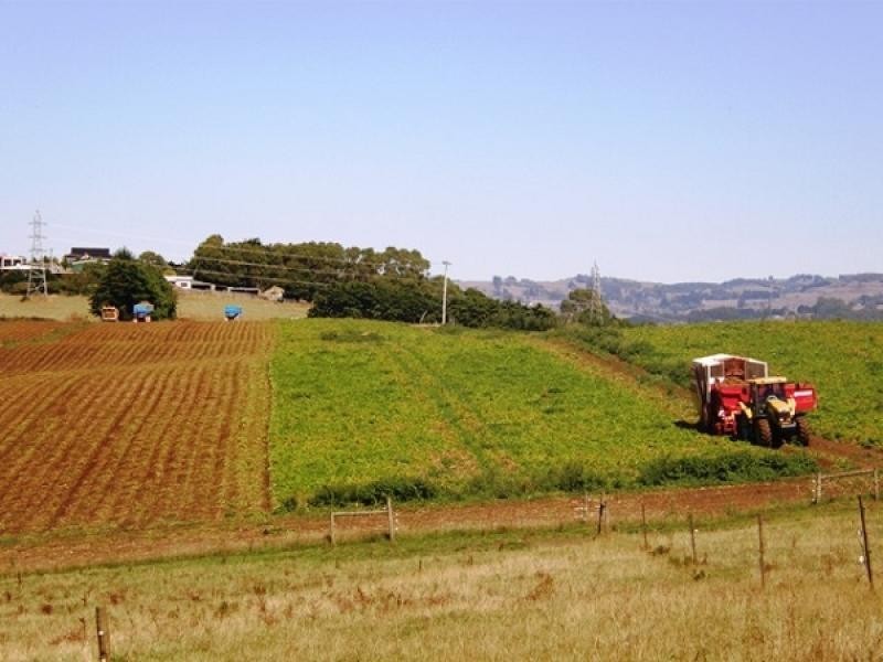 60 Dallas Road, Somerset TAS 7322