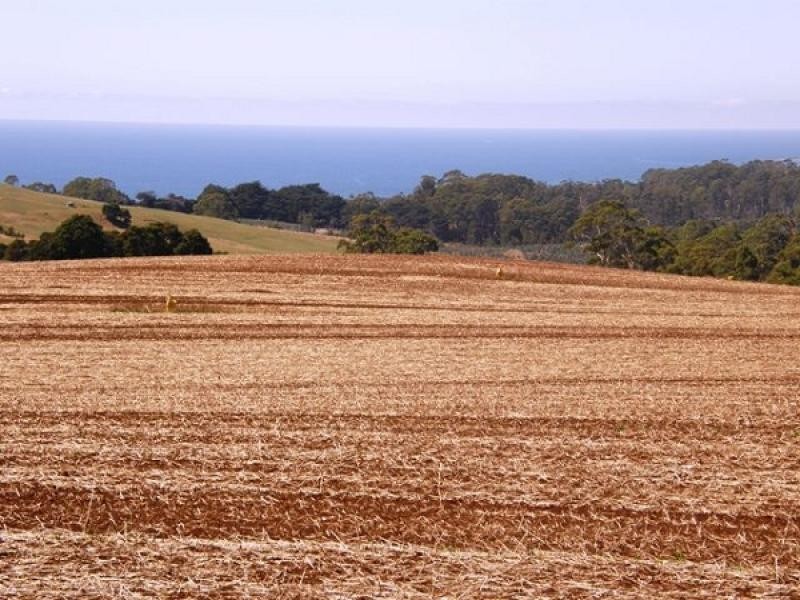 60 Dallas Road, Somerset TAS 7322