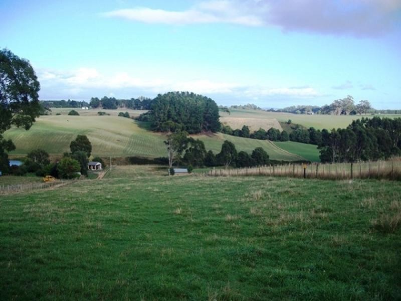 698 Ridgley Highway, Ridgley TAS 7321