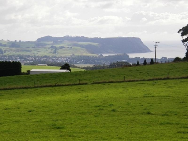 116 Old Mount Hicks Road, Mount Hicks TAS 7325