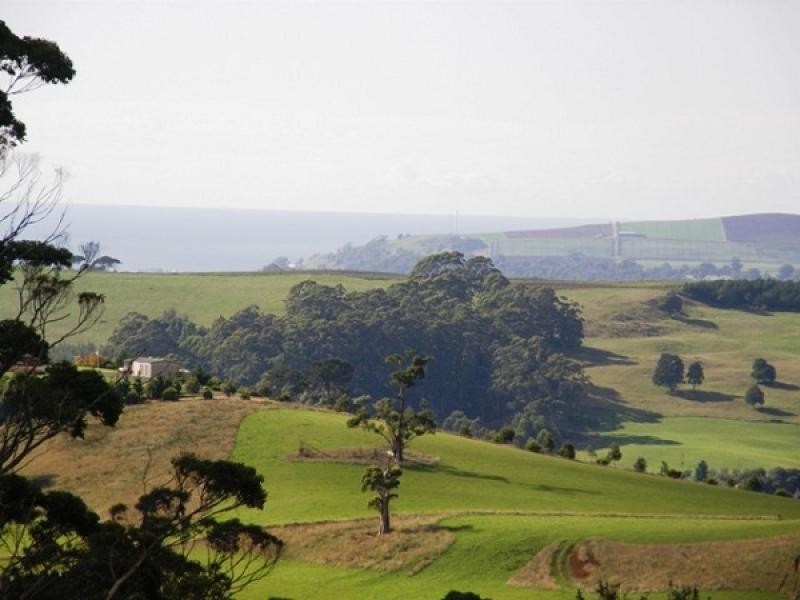 116 Old Mount Hicks Road, Mount Hicks TAS 7325