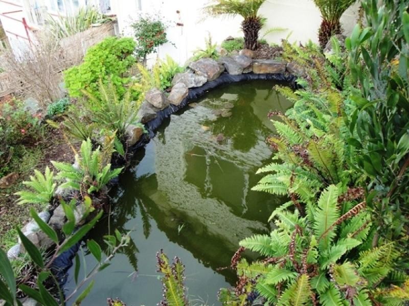 19 Olive Street, Burnie TAS 7320