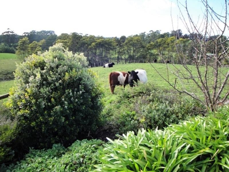 105 Oldina Road, Wynyard TAS 7325