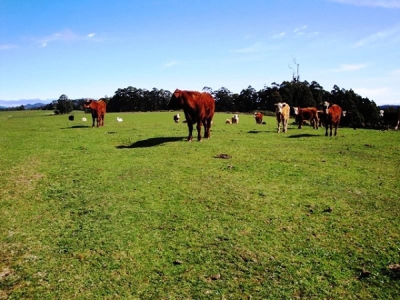 1212 South Riana Road, South Riana TAS 7316