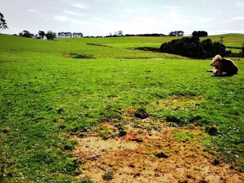 1212 South Riana Road, South Riana TAS 7316