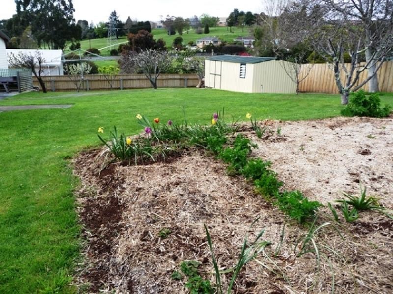 11 Colegrave Road, Burnie TAS 7320