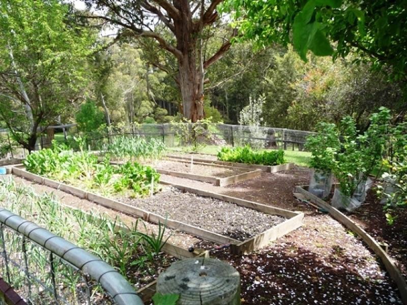 512 Back Cam Road, Somerset TAS 7322