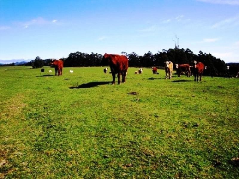 1212 South Riana Road, South Riana TAS 7316