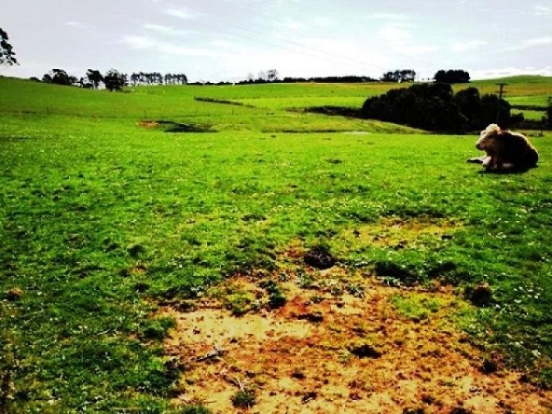 1212 South Riana Road, South Riana TAS 7316