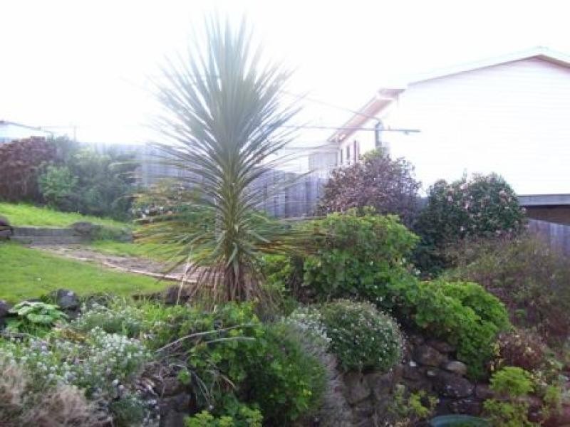 2 Robotham Place, Burnie TAS 7320