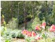 285 Back Cam Road, Somerset TAS 7322