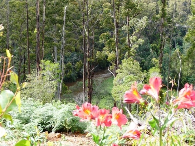 285 Back Cam Road, Somerset TAS 7322
