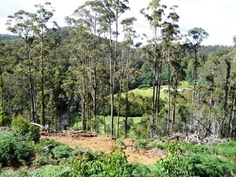 285 Back Cam Road, Somerset TAS 7322