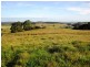 38 Kings Road, Upper Natone TAS 7321