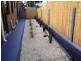 Unit 3 , 22 West Jenner Street, Wynyard TAS 7325