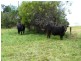 870 Murchison Highway, Elliott TAS 7325