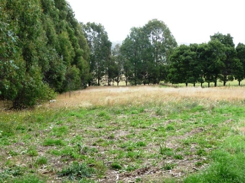 870 Murchison Highway, Elliott TAS 7325