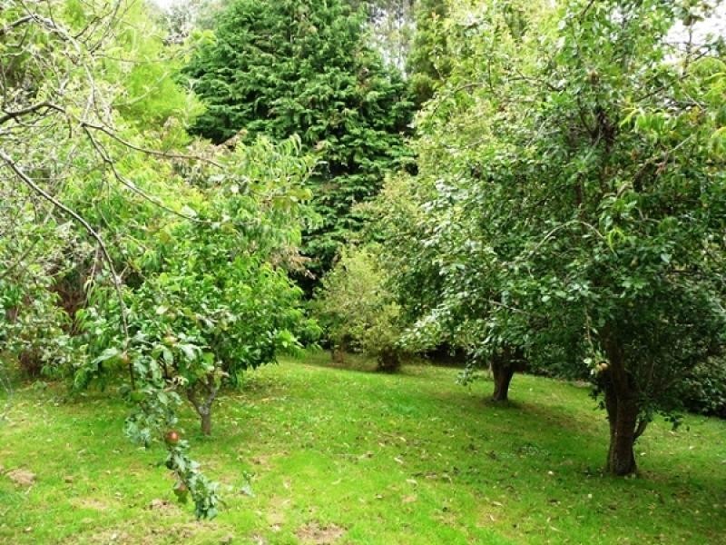 870 Murchison Highway, Elliott TAS 7325