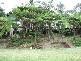 420 FRIDAY HUT ROAD, Brooklet NSW 2479
