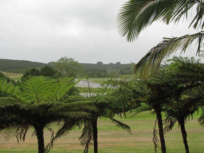 420 FRIDAY HUT ROAD, Brooklet NSW 2479