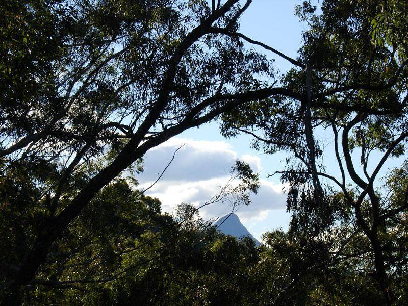 723 ROWLANDS CREEK ROAD, Uki NSW 2484