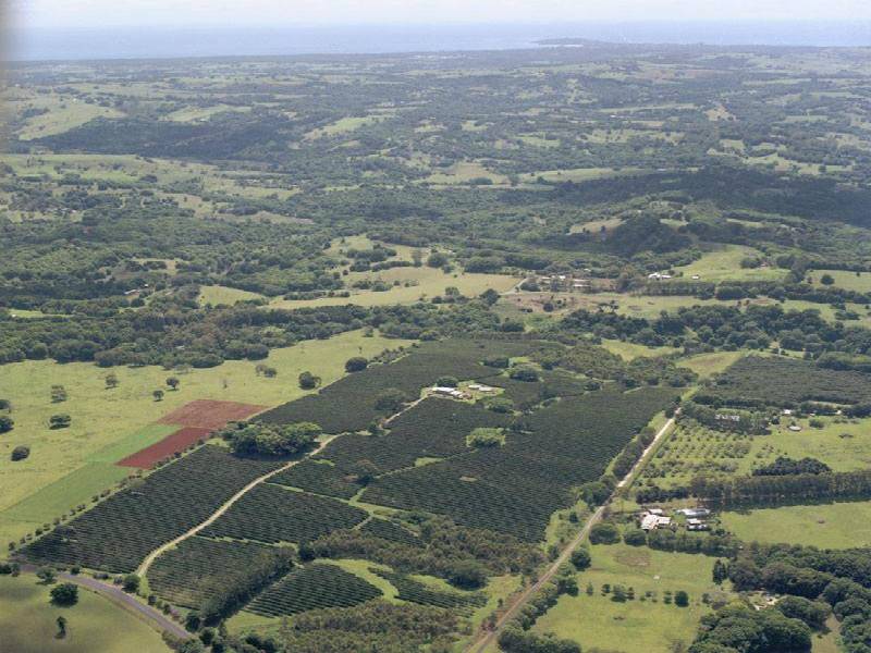 330 FEDERAL DRIVE, Federal NSW 2480