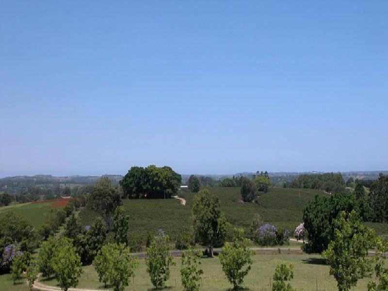 330 FEDERAL DRIVE, Federal NSW 2480