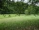 830 TEVEN ROAD, Teven NSW 2478