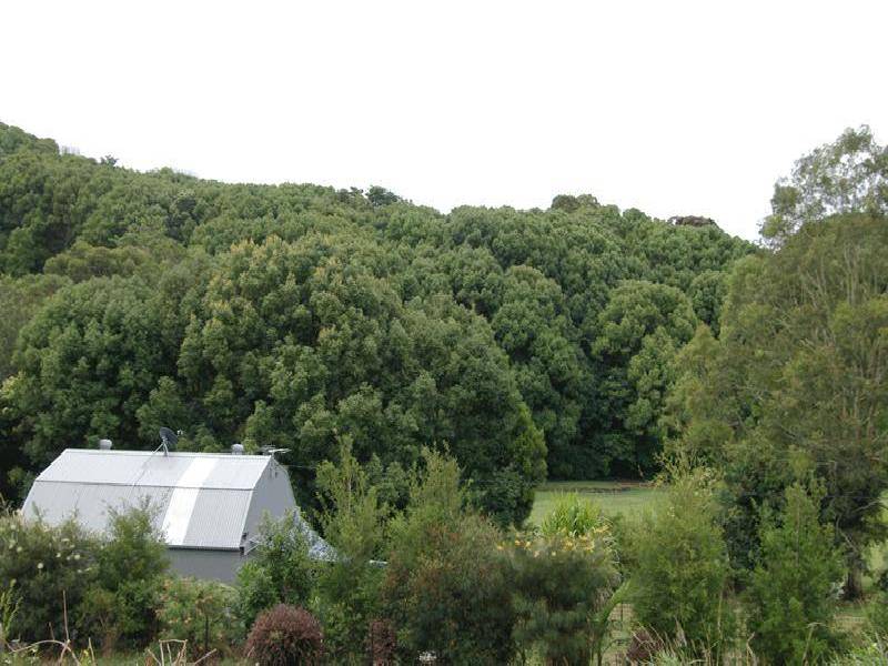 830 TEVEN ROAD, Teven NSW 2478
