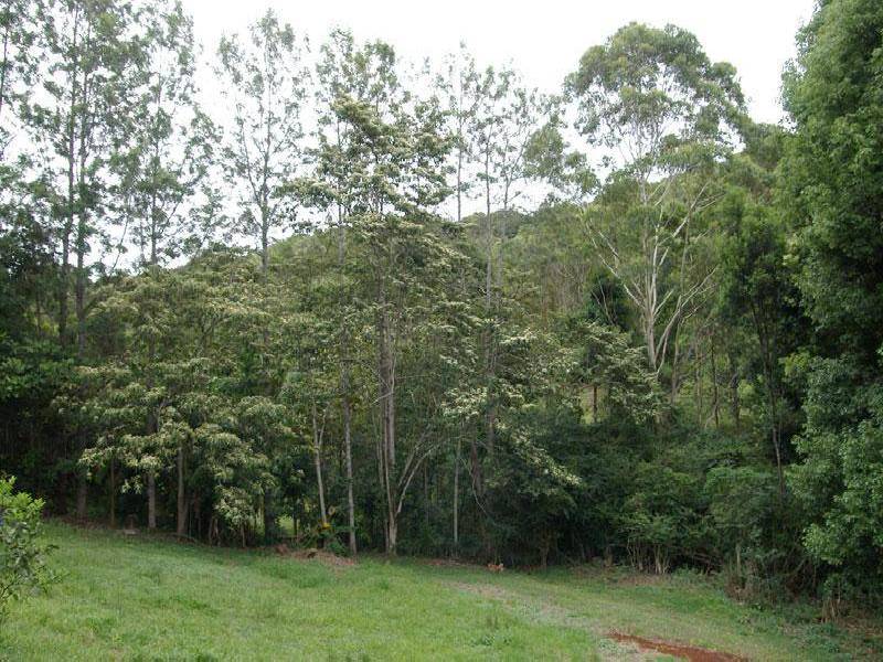 830 TEVEN ROAD, Teven NSW 2478