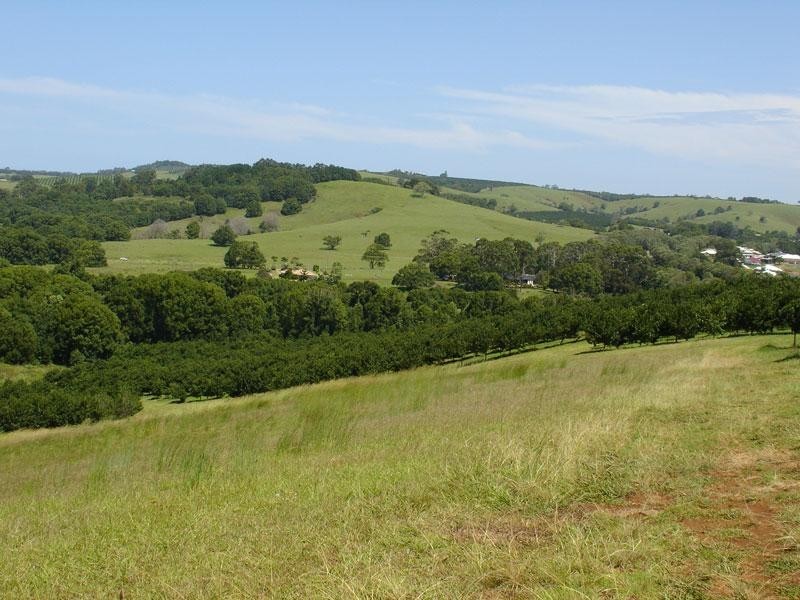 3 Cemetery Road, Bangalow NSW 2479