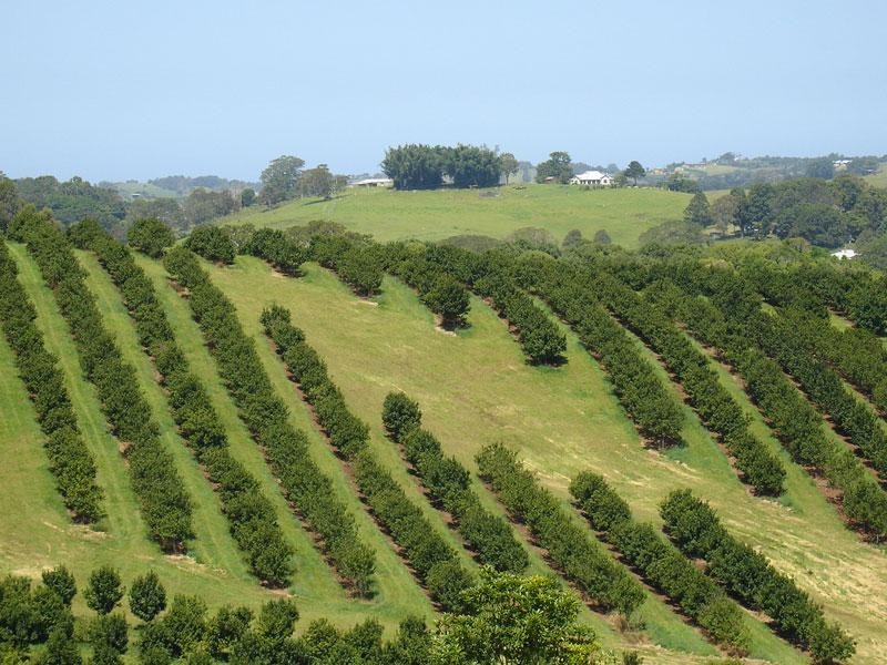 3 Cemetery Road, Bangalow NSW 2479